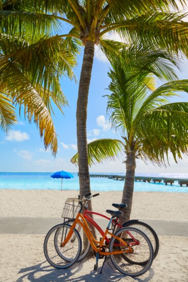 Clarence S. Higgs Memorial Beach Park, Key West