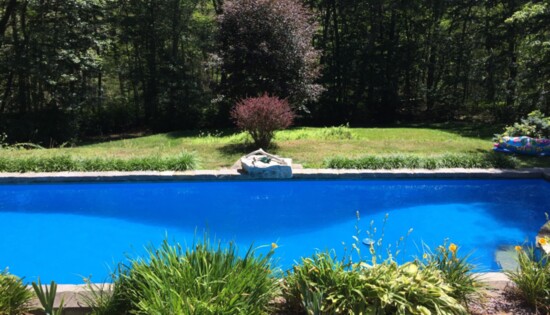 Photo provided by Savol Pools