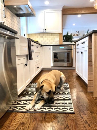 Kitchen Design by Abby Kilgore