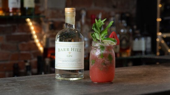 2 Hopewell's Strawberry Gin Mojito