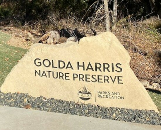 Golda Harris